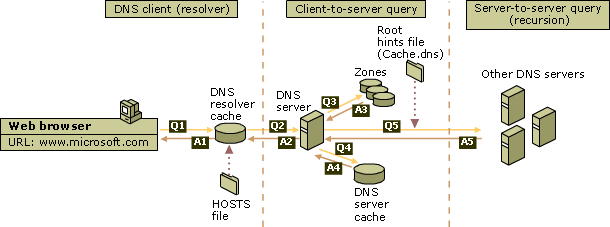 DNS 请求主机到本地域名服务器的查询